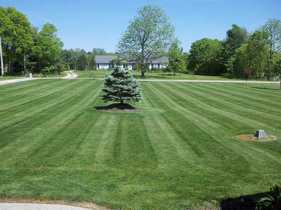 2nd image of 11795 Poplar Creek Rd
