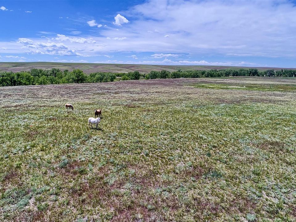 1st image of 12500 Creek Side Cir