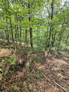 1539 Crystal Ln NE #1539, Ranger, GA, 30734