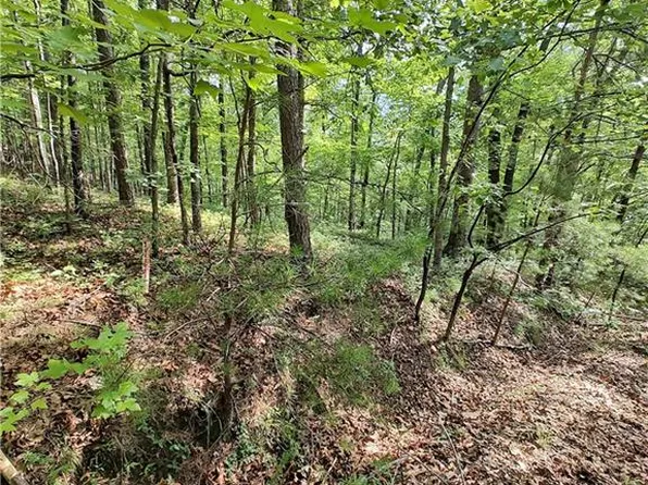 1539 Crystal Ln NE #1539, Ranger, GA 30734