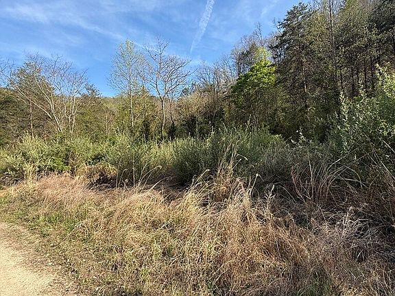 2nd image of 1083 Left Fork Toler Crk