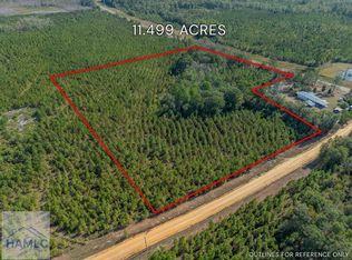 0 Kinnett Rd, Jacksonville, GA 31544