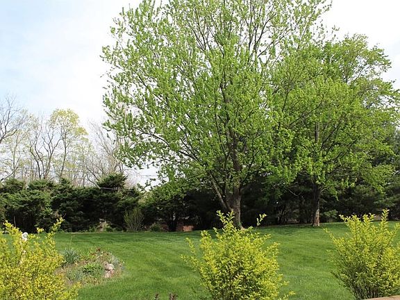Lush landscape around rear and sides adds privacy