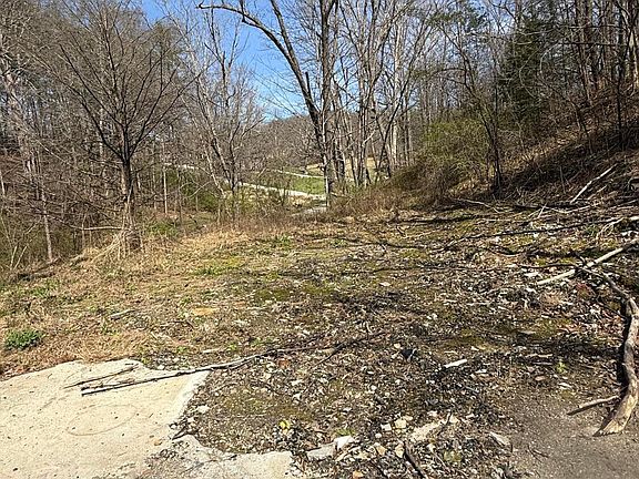 3rd image of 3965 Open Fork Rd