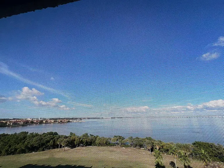 2618 Cove Cay Dr #909 — Photo 15
