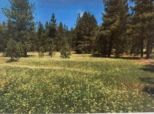 686500 Willard Creek Rd, Susanville, CA 96130