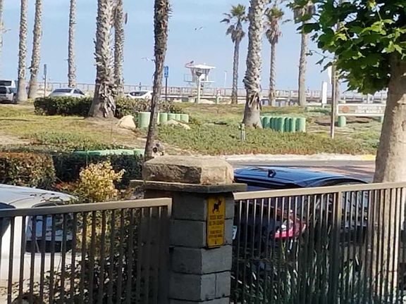 4th image of 377 E Surfside Dr