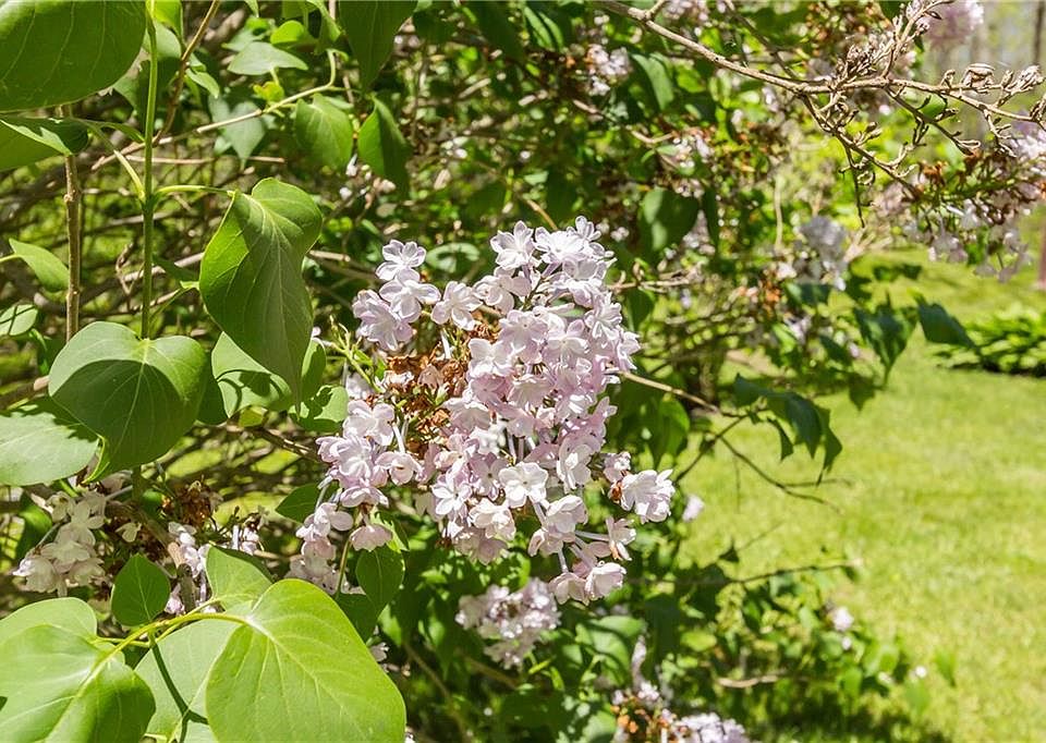 6265 Knapp Rd LOT 3, Canandaigua, NY 14424 Zillow