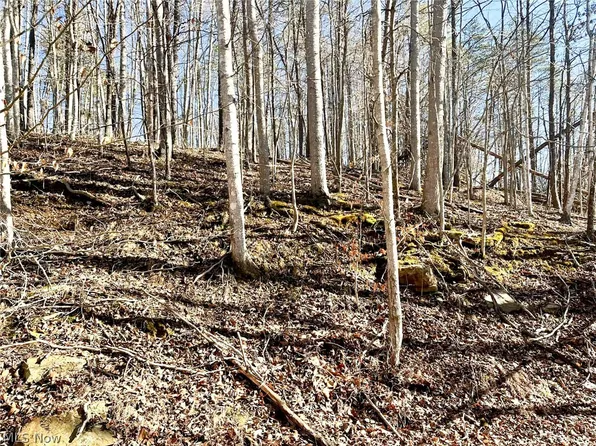 34 Road, Ripley, WV 25271