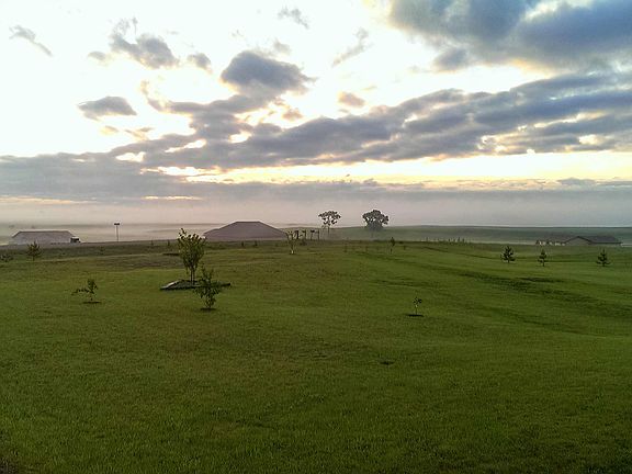 View out the front window