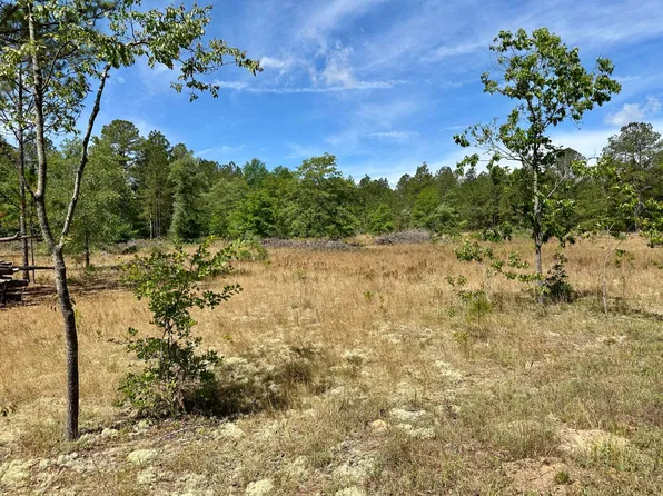284 Buckboard Rd, Wagener, SC 29164