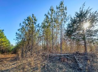 0 Jeanette Holladay Rd LOT 2, Parsons, TN 38363