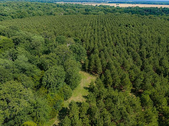 5th image of 600 Anderson County Rd #2805