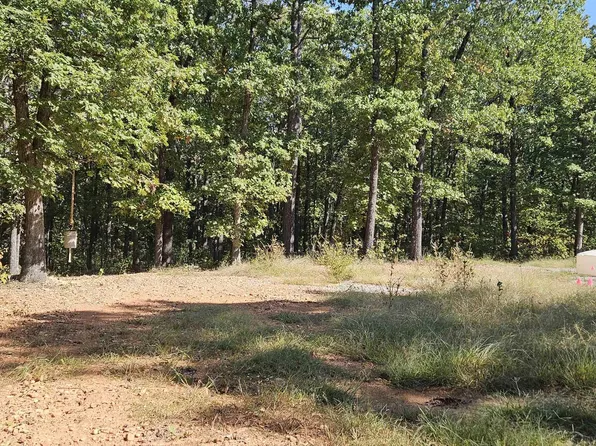 229 Elmbrook Ln, Yellville, AR 72687