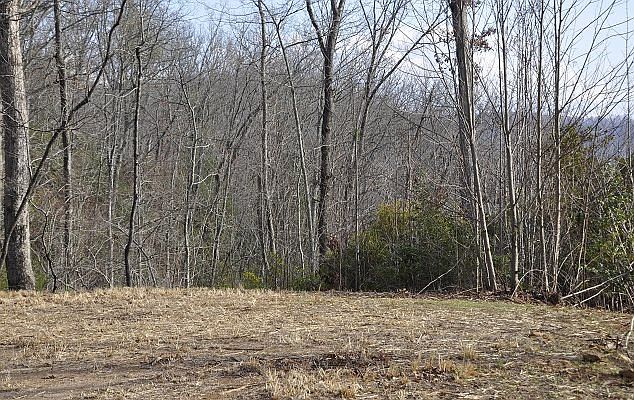 2nd image of Alto Vista Rd