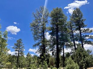 4453 Navajo Dr #358, Happy Jack, AZ 86024