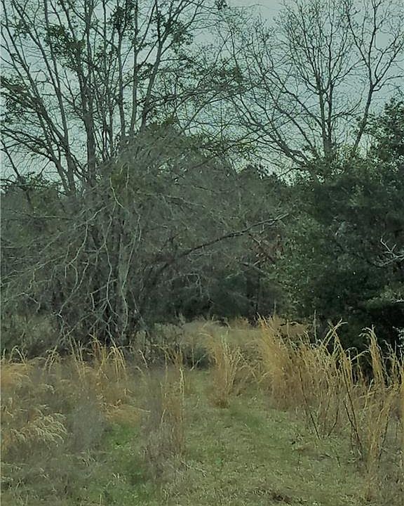 1st image of 1403 County Road 21 N