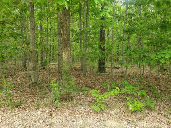 00 Tbd Golden Trail, Raymondville, MO 65555