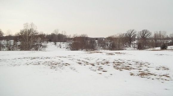 1st image of Williams Grant Dr #2