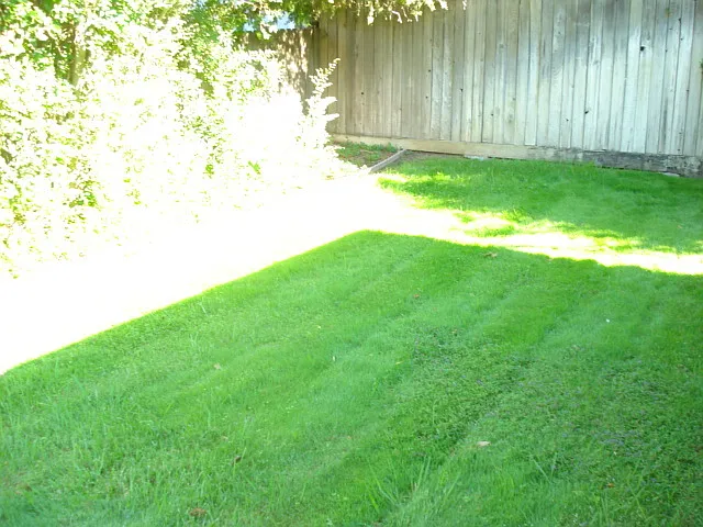 4209 Horgan Way — Photo 22