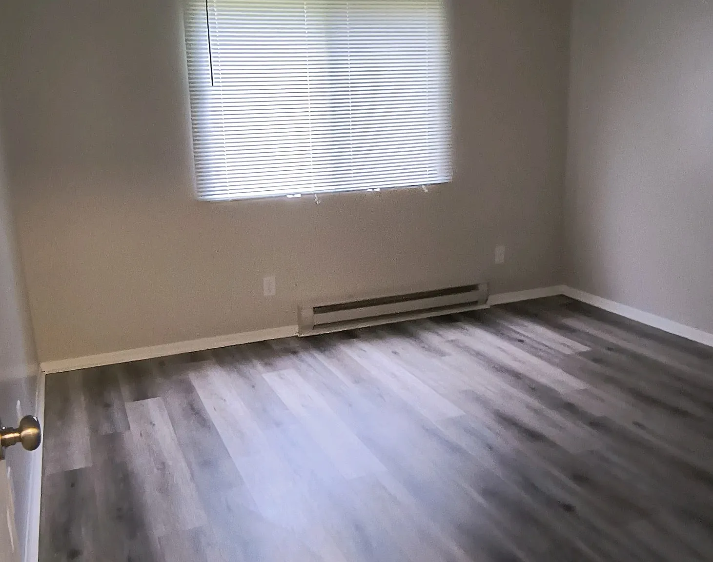 2 bed, 913 sqft, $1,350 — Photo 2