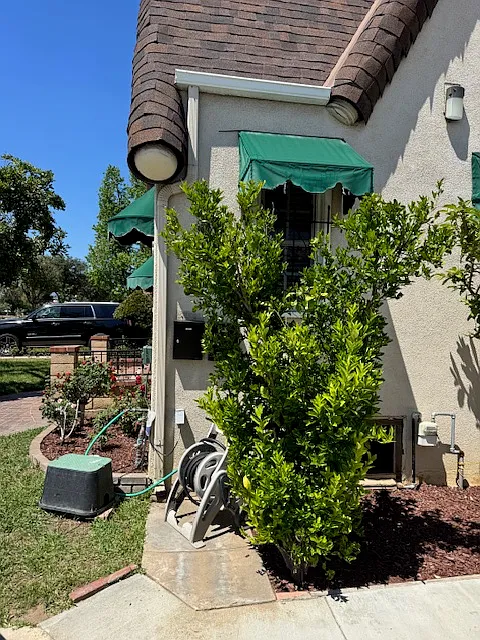 3 bed, 1300 sqft, $3,600 — Photo 2
