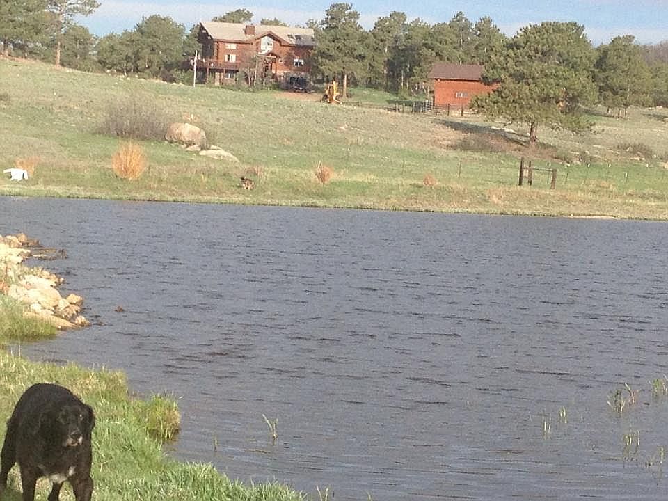 View of home from pond