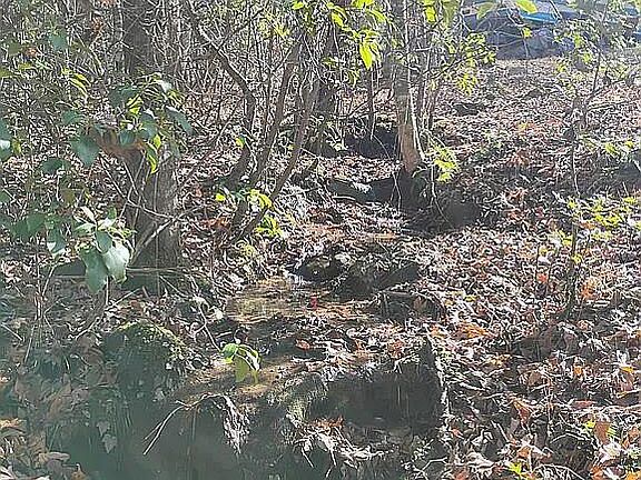 5th image of 4720 Jones Gap Rd