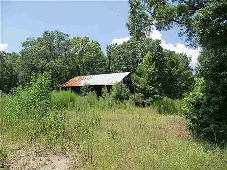2nd image of 4451 Bob White Rd
