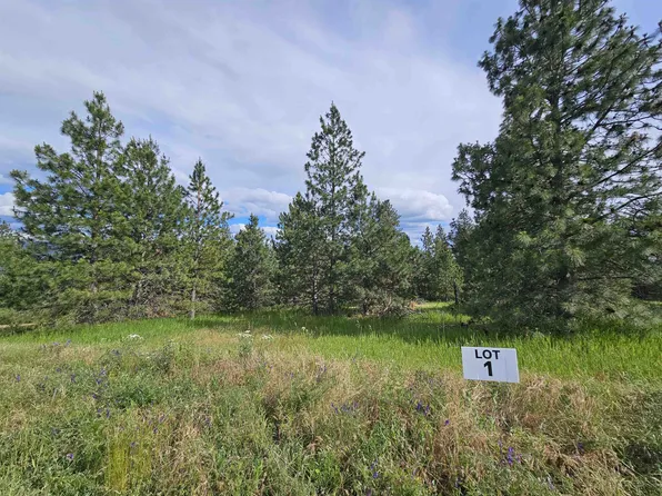Nna S Sands Rd Lot 1, Valleyford, WA 99036