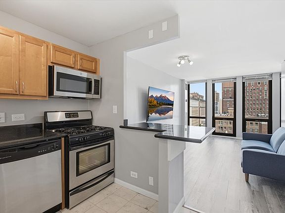 4th image of 1 E Scott St APT 1412