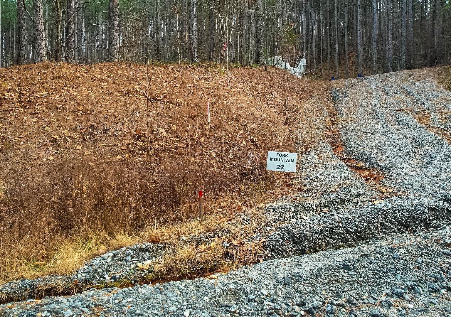 0 Pine Needle Ln, Bostic, NC 28018 MLS 305012 Zillow