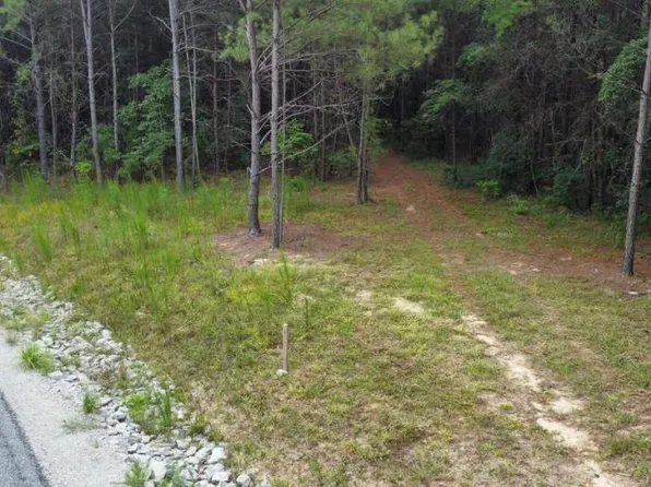 23 Shoreside Dr, Double Springs, AL 35553