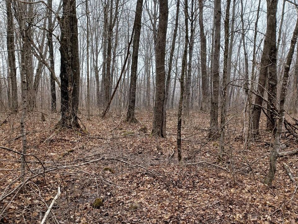 2nd image of 2445 E End Rd