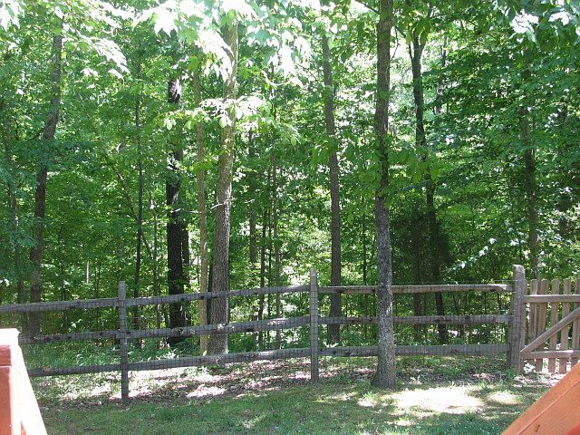 2nd image of 1359 Creek Bend Ln