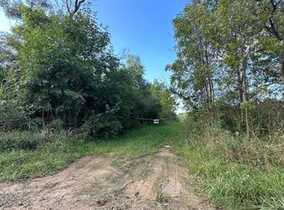 11640 Shepherd Rd, Onsted, MI 49265