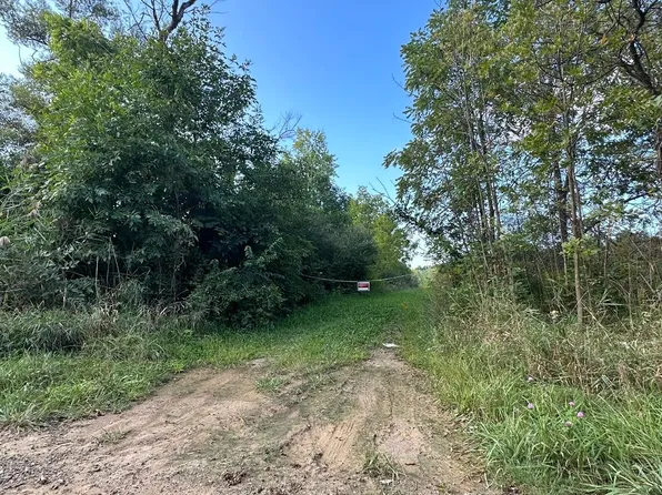 11640 Shepherd Rd, Onsted, MI 49265