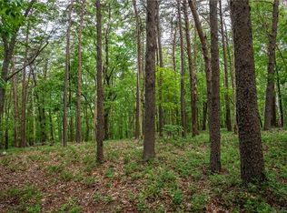 206R Mystic Trail Ln Lot 206R, Jasper, GA 30143