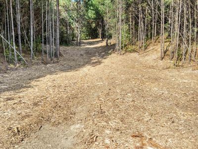 0 Red Valley Rd #0, Remlap, AL, 35133