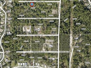 LOT 105 Chase Ct LOT 105, Mount Dora, FL 32757