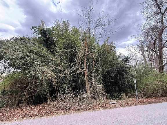 2nd image of 36-37 38 Roland Park