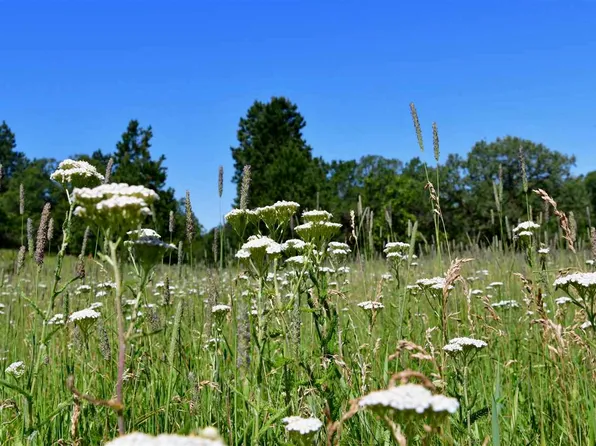 TRACT 3 Oak St, Whitewood, SD 57793