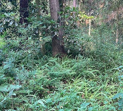 3rd image of 14410 Hale Rd