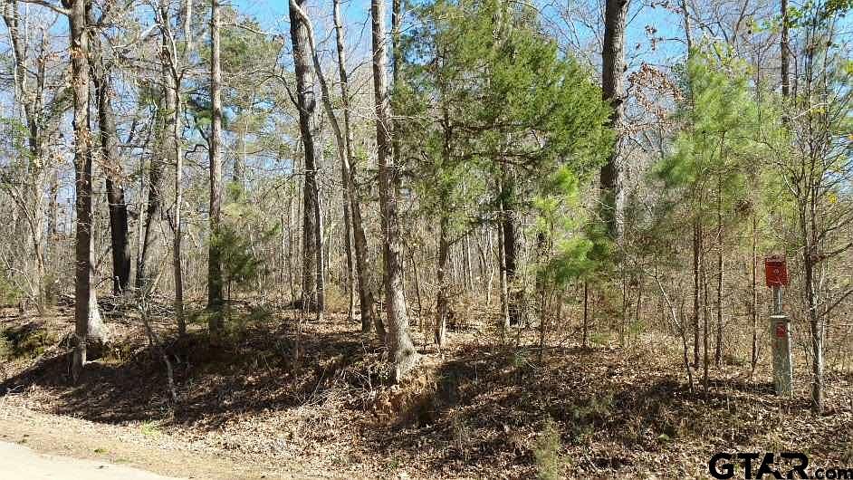 1st image of TRACT 1 County Road 3901