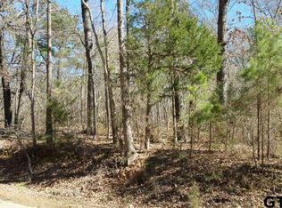 TRACT 1 County Road 3901, Jacksonville, TX 75766