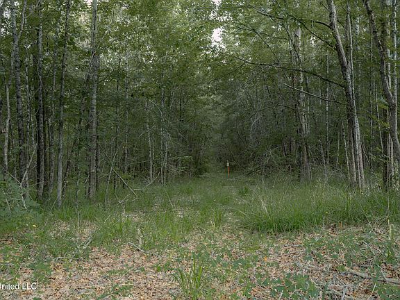 4th image of 0 Dog Pen Rd