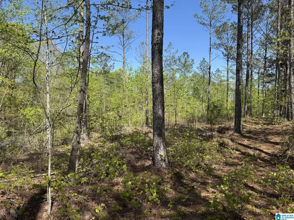 3 County Road 268, Roanoke, AL 36274