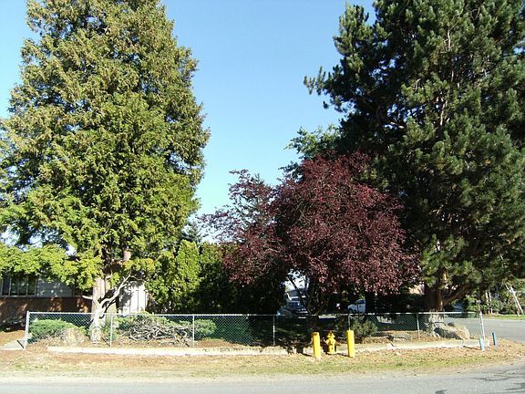 Wonderful mature trees