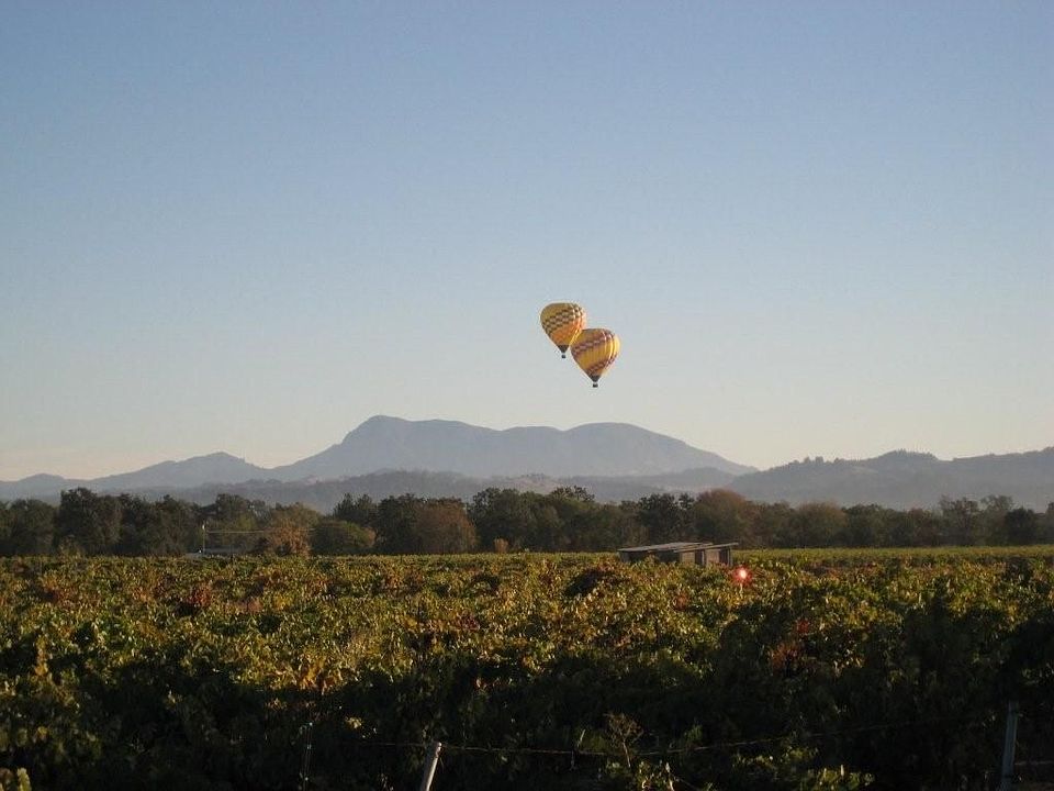 Vineyard/Foothills Views
