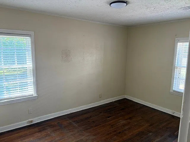 1 bed, 800 sqft, $800 — Photo 2